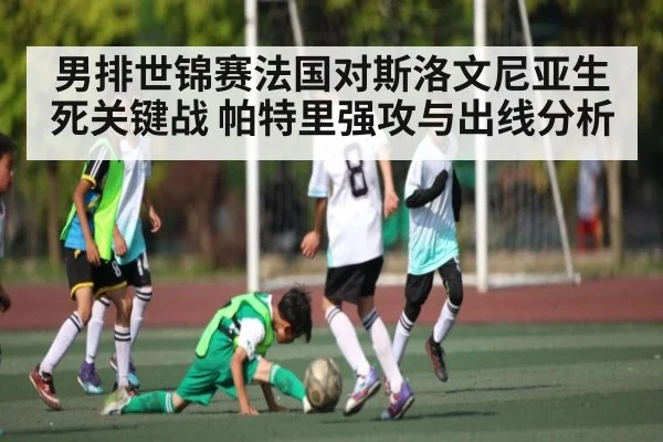 男排世锦赛法国对斯洛文尼亚生死关键战 帕特里强攻与出线分析